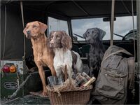 LUNCH BREAK by Kevin Marriott