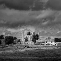 MAGPIE MINE by Gillian Foulds