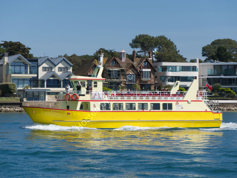 MAID OF POOLE by Ralph Willis