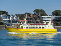 MAID OF POOLE by Ralph Willis