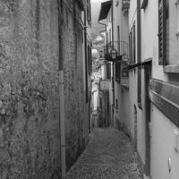 MAJORCAN BACKSTREET by Malcolm Neal
