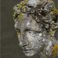 MAKEUP BY NATURE by Sue Swain