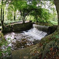 MARKEATON FALLS by Alan Locke
