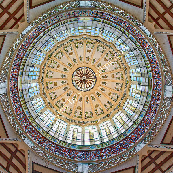 MARKET HALL ROOF VALENCIA by Ashley Franklin