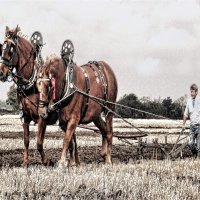 MATCH WINNERS by Gillian Foulds