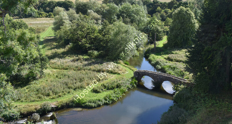 MEDIEVAL WOODLAND by Chris Nightingale