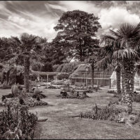 MEDITERRANEAN GARDEN UK STYLE by Alan Locke