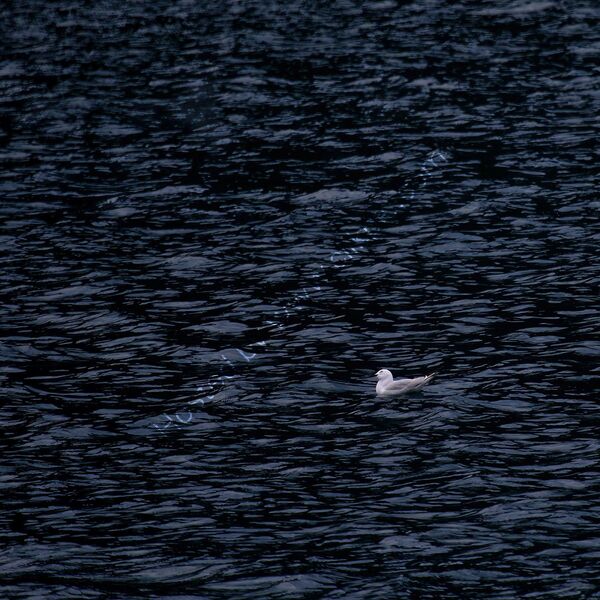 MIDDLE OF NOWHERE by Ian Humphries