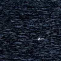 MIDDLE OF NOWHERE by Ian Humphries