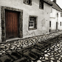 MIDDLE OF THE ROAD by Jim Connolly