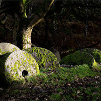 MILLSTONES, BOLE HILL QUARRY by Sarah Middleton