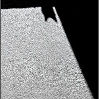 MINIMALIST CAT by Frank Reeder