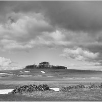 MINNINGLOW EARLY SPRING by Sue Swain