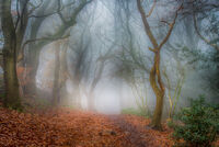 MISTERIOUS by Ashley Franklin