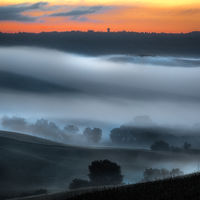 MISTY DAWN, PIENZA by Ashley Franklin