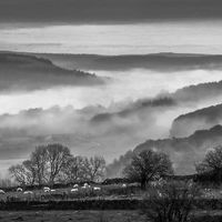 MISTY MORNING ELTON by Christine Maughan