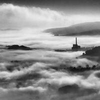 MISTY MORN by Christine Maughan