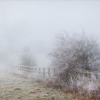 MIST AND FROST by Sarah Middleton