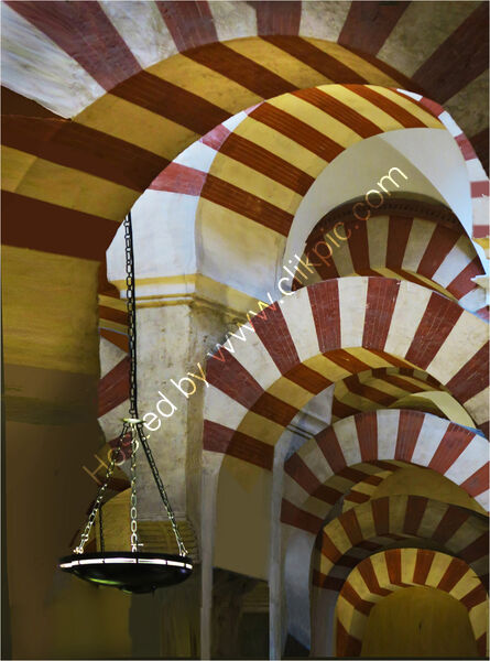 MOORISH MESQUITA by Susan Swain