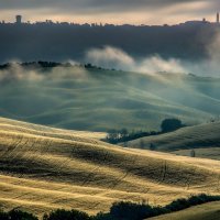 MORNING MIST, BELVEDERE by Ashley Franklin
