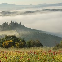 MORNING MIST VAL D'ORCIA by Mike Arblaster