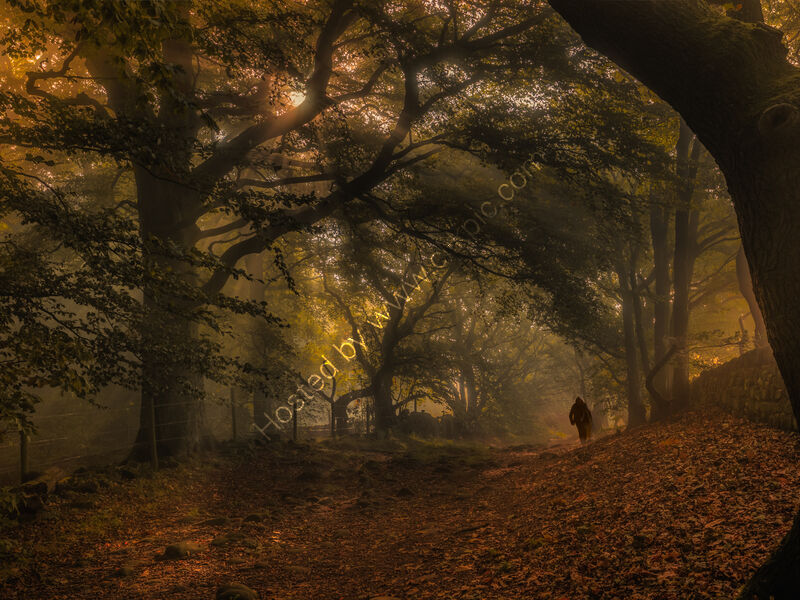 MORNING RAYS by Chris Jackson