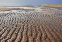 MORNING RIPPLES by Dave James