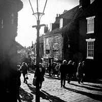 MORNING SHADOWS by Alan Locke
