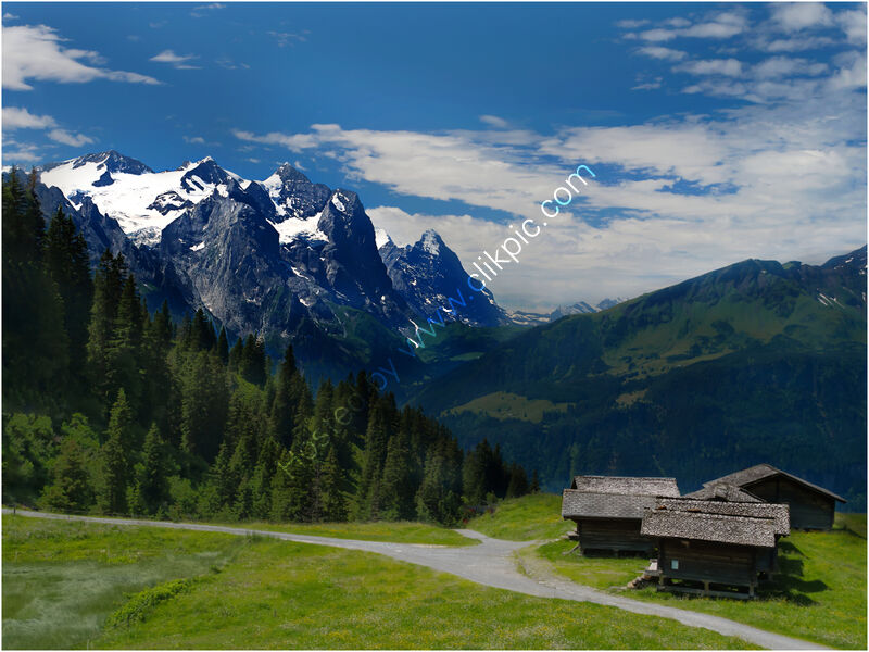 MOUNTAIN VIEW by Phil Robinson