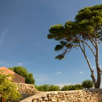 MOZIA, SICILY by Peter Dishart