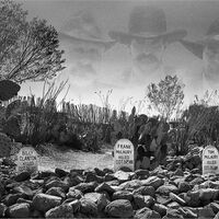 MURDERED AT TOMBSTONE by Sue Swain