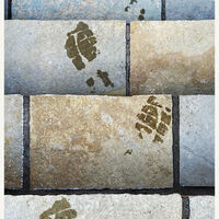 MY GARDEN STEPS by David Harrison