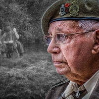 MEMORIES OF OLD COMRADES