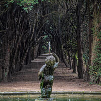 NATURE'S FOUNTAIN by Neil Partridge