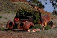 NATURE TAKES BACK by Ian Humphries