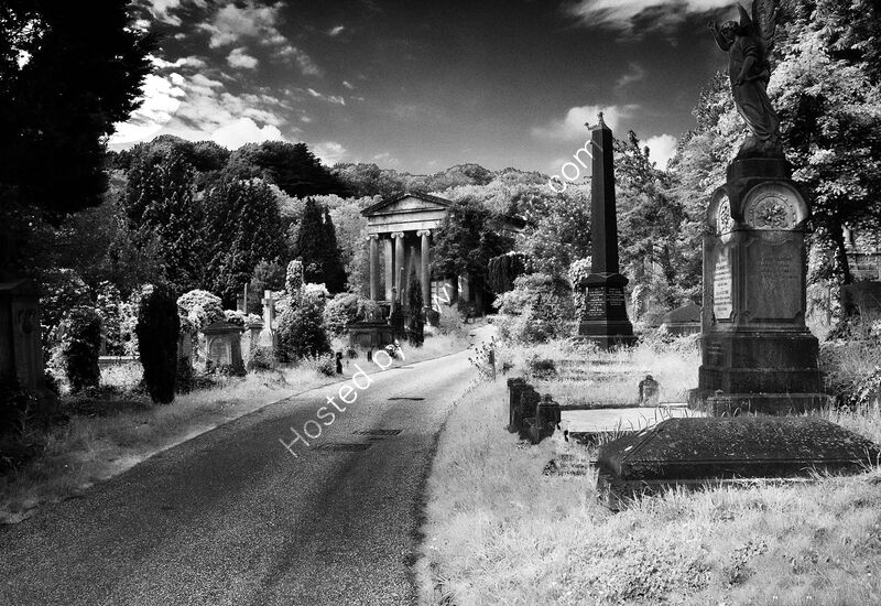 NECROPOLIS by David Salt
