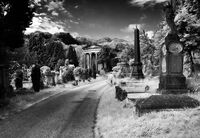 NECROPOLIS by David Salt