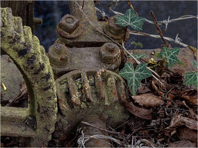 NEEDS SOME OIL by Phil Robinson