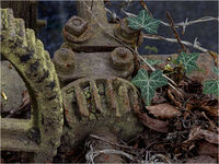 NEEDS SOME OIL by Phil Robinson