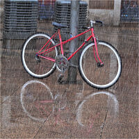 NO DAY FOR CYCLING by Frank Reeder