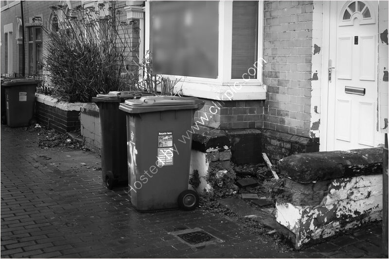 NO PRIDE OR CARE by Susan Swain