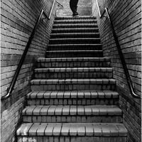 OLD CANAL STEPS by Sue Swain