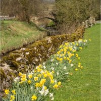 OTTERBURN BRIDGE SPRINGTIME by Gill Dishart