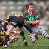 OUCH by David White