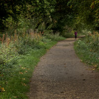 OUT FOR A RUN by Malcolm Sargent