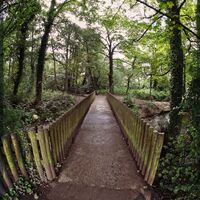 OVER THE BROOK by Alan Locke