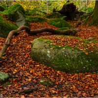 PADLEY GORGE by Malcolm Sargent