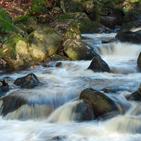 PADLEY GORGE by Mike Bradley
