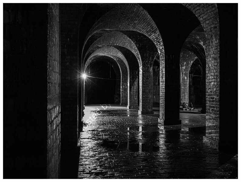 PAPPLEWICK by Chris Jackson