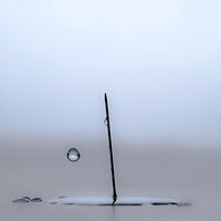 PIN DROP by Wayne Churchill